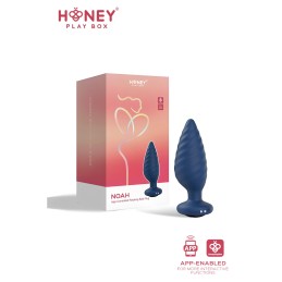 Votre Loveshop à Chartres 28 Delight Plug Violet